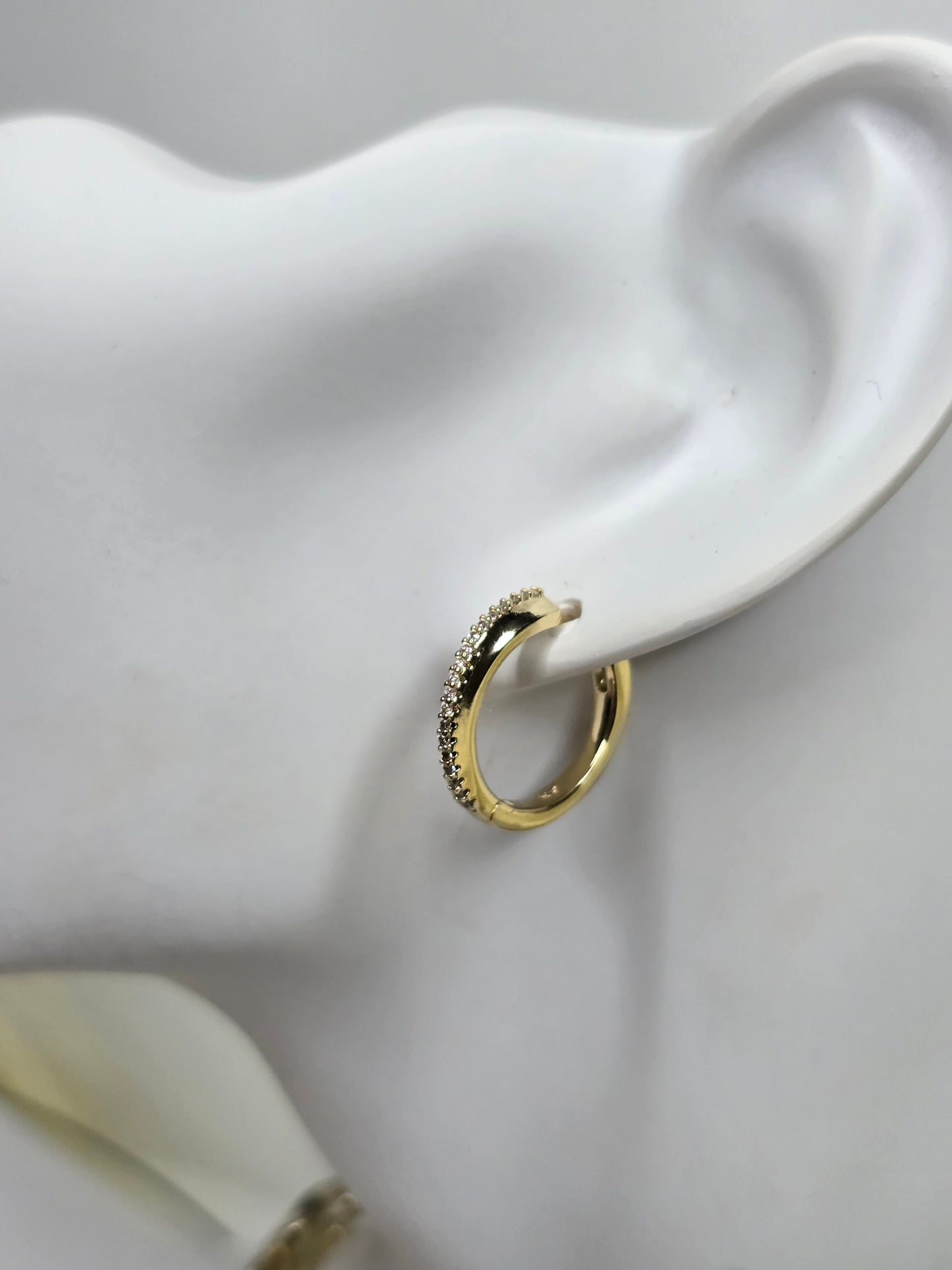 Smalln hoop earring with diamonds AR0046