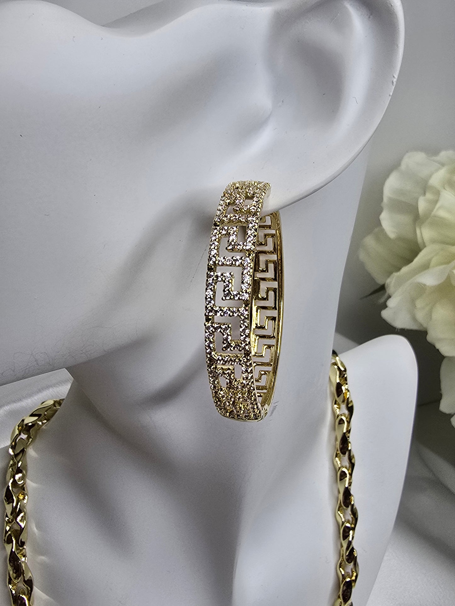 large hoop earring with diamonds AR0045